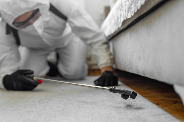 Professional Cockroach Control technician working in Roundup, MT